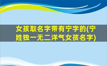 女孩取名字带有宁字的(宁姓独一无二洋气女孩名字)