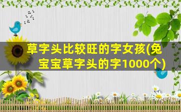 草字头比较旺的字女孩(兔宝宝草字头的字1000个)