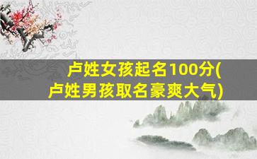 卢姓女孩起名100分(卢姓男孩取名豪爽大气)