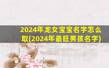 2024年龙女宝宝名字怎么取(2024年最旺男孩名字)