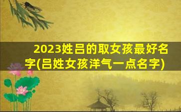 2023姓吕的取女孩最好名字(吕姓女孩洋气一点名字)