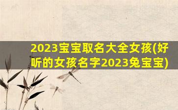 2023宝宝取名大全女孩(好听的女孩名字2023兔宝宝)