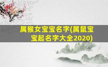 属猴女宝宝名字(属鼠宝宝起名字大全2020)
