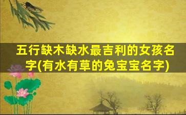 五行缺木缺水最吉利的女孩名字(有水有草的兔宝宝名字)