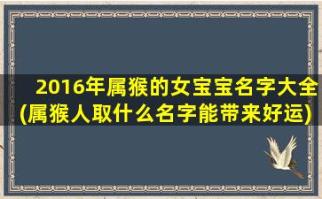 2016年属猴的女宝宝名字大全(属猴人取什么名字能带来好运)