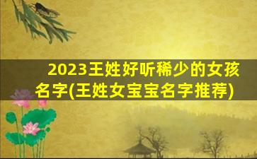 2023王姓好听稀少的女孩名字(王姓女宝宝名字推荐)