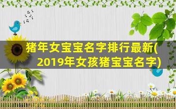 猪年女宝宝名字排行最新(2019年女孩猪宝宝名字)