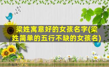梁姓寓意好的女孩名字(梁姓简单的五行不缺的女孩名)