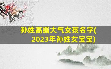 孙姓高端大气女孩名字(2023年孙姓女宝宝)