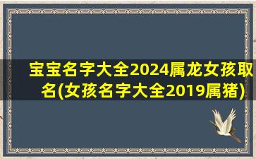 宝宝名字大全2024属龙女孩取名(女孩名字大全2019属猪)