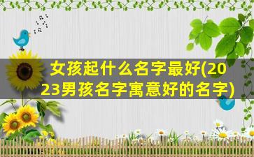 女孩起什么名字最好(2023男孩名字寓意好的名字)