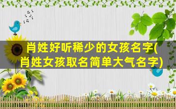肖姓好听稀少的女孩名字(肖姓女孩取名简单大气名字)