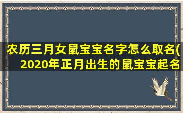 农历三月女鼠宝宝名字怎么取名(2020年正月出生的鼠宝宝起名)