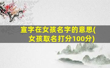 宣字在女孩名字的意思(女孩取名打分100分)