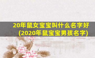 20年鼠女宝宝叫什么名字好(2020年鼠宝宝男孩名字)