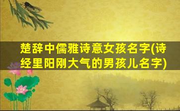 楚辞中儒雅诗意女孩名字(诗经里阳刚大气的男孩儿名字)