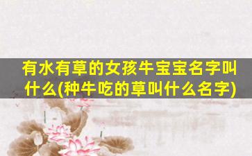 有水有草的女孩牛宝宝名字叫什么(种牛吃的草叫什么名字)