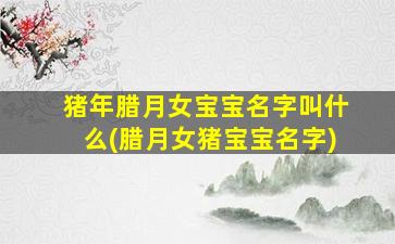 猪年腊月女宝宝名字叫什么(腊月女猪宝宝名字)