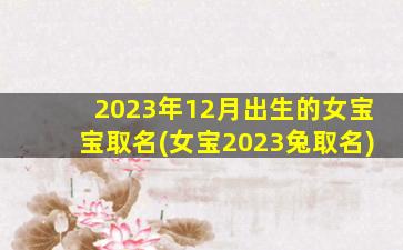 2023年12月出生的女宝宝取名(女宝2023兔取名)