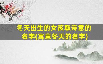 冬天出生的女孩取诗意的名字(寓意冬天的名字)