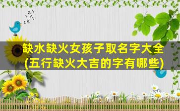 缺水缺火女孩子取名字大全(五行缺火大吉的字有哪些)