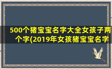 500个猪宝宝名字大全女孩子两个字(2019年女孩猪宝宝名字)