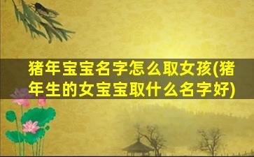 猪年宝宝名字怎么取女孩(猪年生的女宝宝取什么名字好)