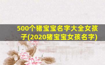500个猪宝宝名字大全女孩子(2020猪宝宝女孩名字)