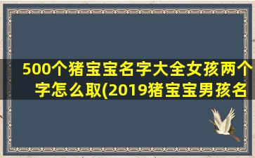 500个猪宝宝名字大全女孩两个字怎么取(2019猪宝宝男孩名字)
