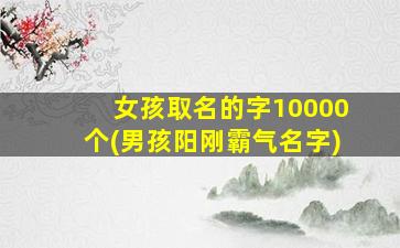 女孩取名的字10000个(男孩阳刚霸气名字)