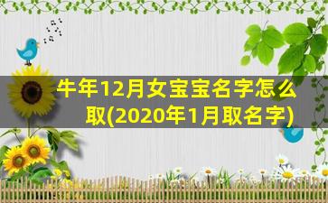 牛年12月女宝宝名字怎么取(2020年1月取名字)