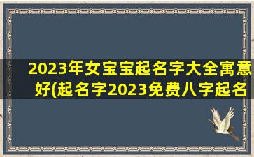 2023年女宝宝起名字大全寓意好(起名字2023免费八字起名周易)