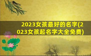 2023女孩最好的名字(2023女孩起名字大全免费)
