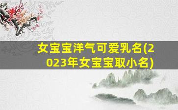 女宝宝洋气可爱乳名(2023年女宝宝取小名)