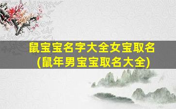 鼠宝宝名字大全女宝取名(鼠年男宝宝取名大全)