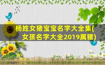 杨姓女猪宝宝名字大全集(女孩名字大全2019属猪)