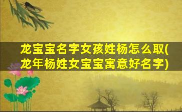 龙宝宝名字女孩姓杨怎么取(龙年杨姓女宝宝寓意好名字)