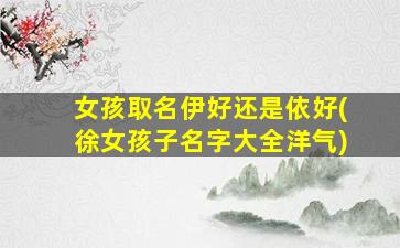 女孩取名伊好还是依好(徐女孩子名字大全洋气)