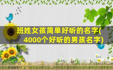 班姓女孩简单好听的名字(4000个好听的男孩名字)