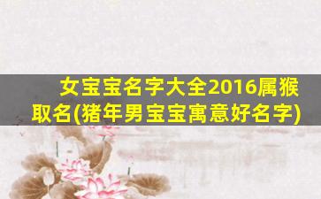 女宝宝名字大全2016属猴取名(猪年男宝宝寓意好名字)