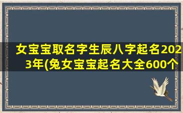 女宝宝取名字生辰八字起名2023年(兔女宝宝起名大全600个)