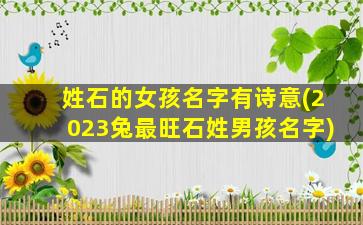姓石的女孩名字有诗意(2023兔最旺石姓男孩名字)