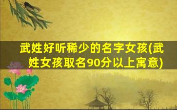 武姓好听稀少的名字女孩(武姓女孩取名90分以上寓意)
