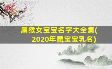 属猴女宝宝名字大全集(2020年鼠宝宝乳名)