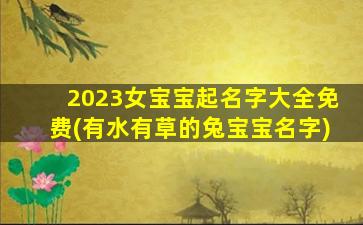 2023女宝宝起名字大全免费(有水有草的兔宝宝名字)