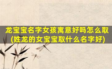 龙宝宝名字女孩寓意好吗怎么取(姓龙的女宝宝取什么名字好)