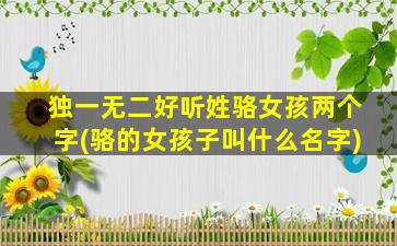 独一无二好听姓骆女孩两个字(骆的女孩子叫什么名字)