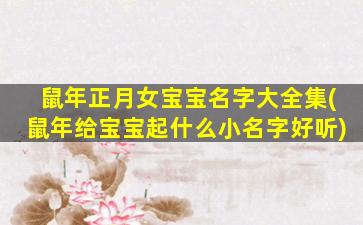 鼠年正月女宝宝名字大全集(鼠年给宝宝起什么小名字好听)