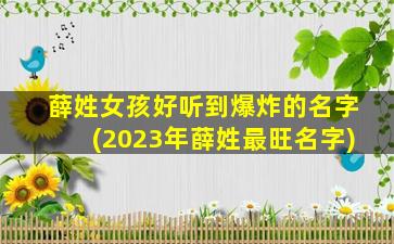 薛姓女孩好听到爆炸的名字(2023年薛姓最旺名字)
