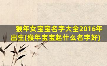 猴年女宝宝名字大全2016年出生(猴年宝宝起什么名字好)